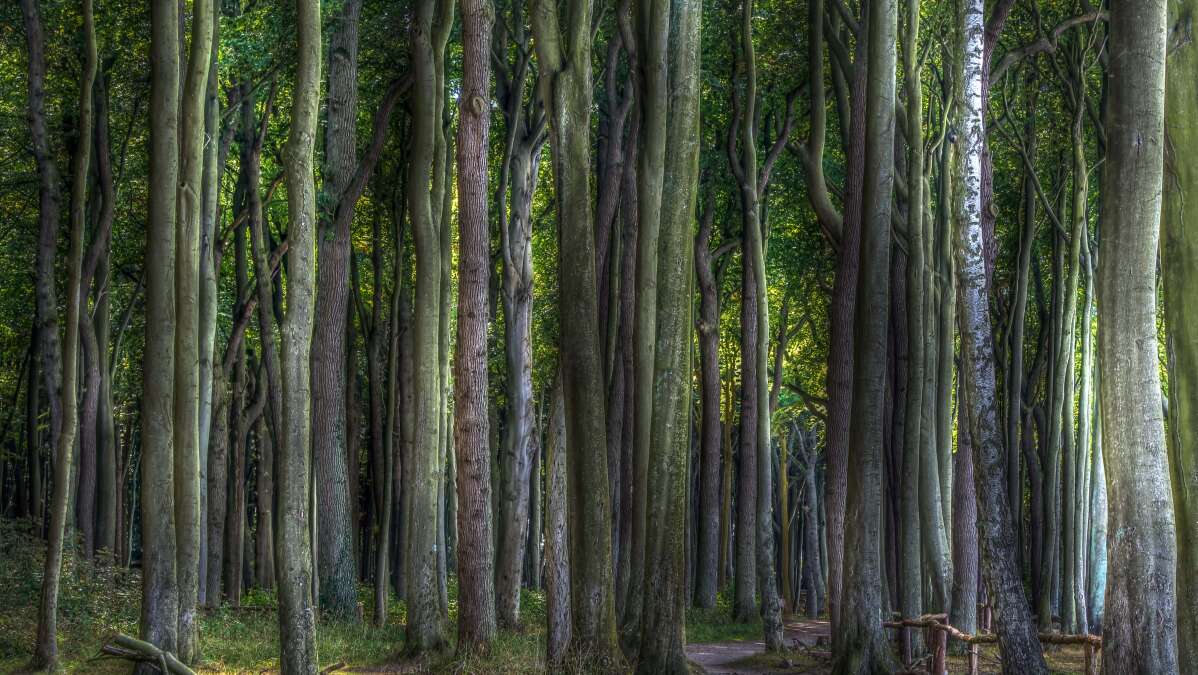 Park der Gärten in Bad Zwischenahn Fotowettbewerb mit CEWE