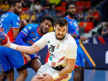 Ungarn um Miklos Rosta (M.) erreichte das WM-Viertelfinale.