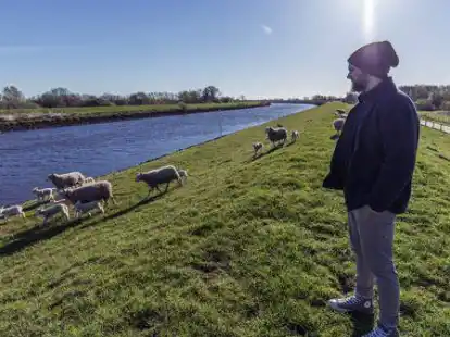 Setzt auf artgerechte Tierhaltung: Sch&auml;fer Sven Scheffler bei seinen Schafen