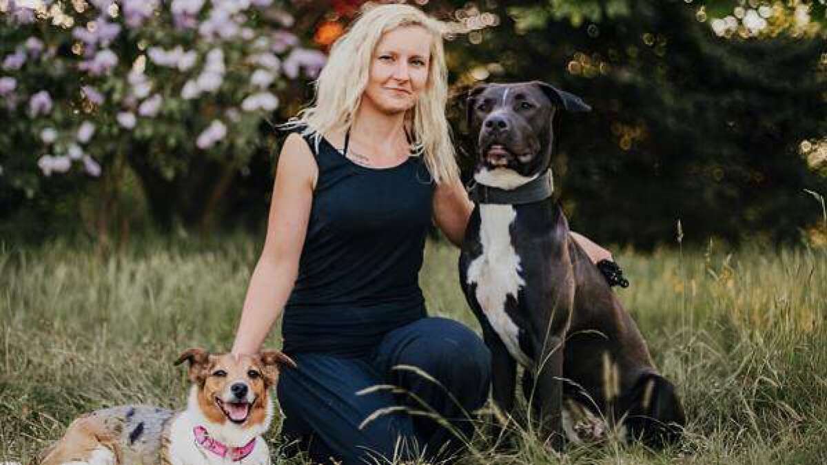 Hundesuchhilfe Ostfriesland Vermisste Hunde an Silvester, ein