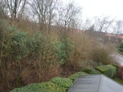 Am Ende des Walls soll die neue Planstra&szlig;e auf die Kolpingstra&szlig;e (r.) m&uuml;nden.