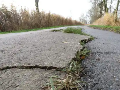 Auf acht Kilometern werden Wirtschaftswege in der Krummh&ouml;rn demn&auml;chst ausgebaut. Vorher m&uuml;ssen aber noch B&auml;ume weichen.
