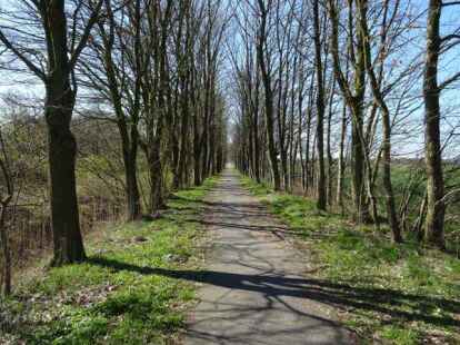 Auf dem Radweg zwischen Ihrhove und Esklum rollen bald die Baumaschinen.