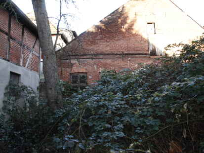 Die alte Lohgerberei in Wildeshausen Mitte Januar 2023: Brombeerhecken und Efeu haben sich auf dem Grundstück und in den Gebäuden ausgebreitet. Im ersten Schritt zur Umgestaltung werden nun die Hecken entfernt und die Gebäude entkernt.
