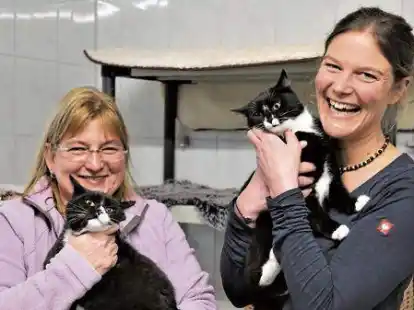 Tanja Schimrich (li). mit &bdquo;Lambrecht&ldquo; und Dr. Gesche T&uuml;rck mit &bdquo;Sandra&ldquo; in einer der Katzenstuben des Tierheims. In den Katzen-WGs sollen in der Regel nicht mehr als zehn Tiere leben.