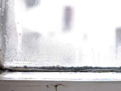 Ein Bild, wie man es gerade in vielen Wohnungen vorfindet: Wo viel Feuchtigkeit ist, w&auml;chst Schimmel gut.