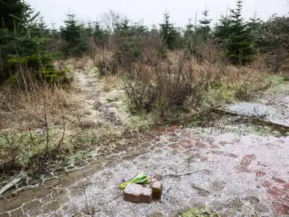 Blumen liegen auf einem Brachgel&auml;nde in Wunstorf-Blumenau, wo die Leiche eines 14-j&auml;hrigen Jungen gefunden worden war.