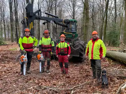 Bei der Holzernte in Schierenbuchen: (von links) die Forstwirte Hendrik Elsen, Thomas Watermann und J&ouml;rg K&ouml;hne mit F&ouml;rster Marcus Hoffmann.
