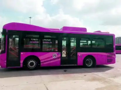 Ein pinkfarbener Bus auf einem Busparkplatz: Nur Frauen und M&auml;dchen d&uuml;rfen mitfahren.