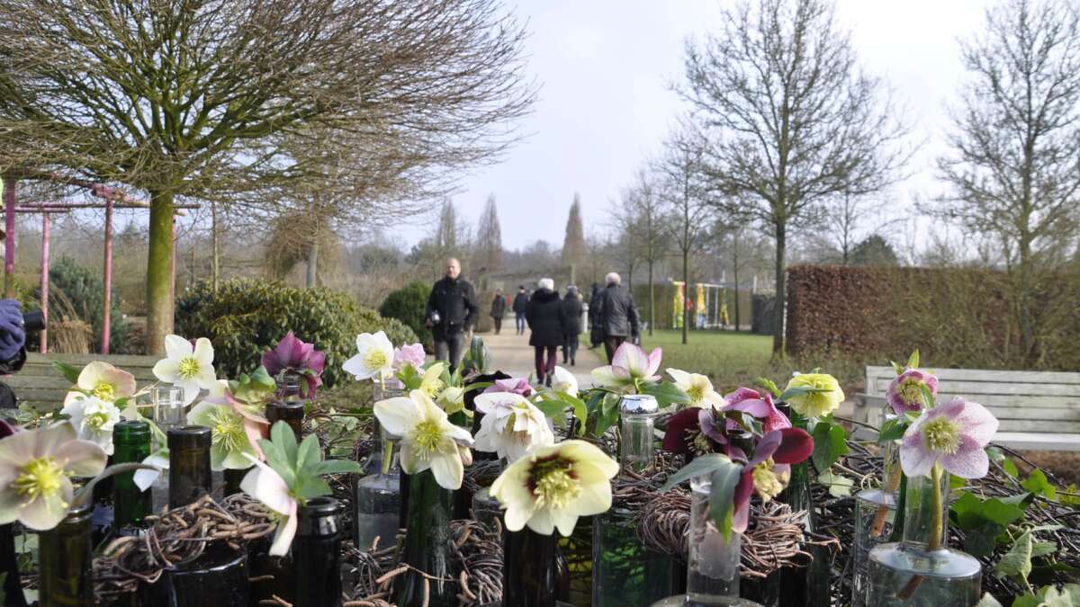 Park der Gärten in Bad Zwischenahn Mit Sonderöffnung am 12. Februar