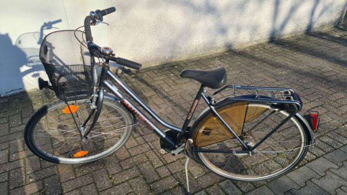 grace fahrrad kaufen Gazelle E-Bike Miss C7+ HMB Clay Green Damen – Gazelle Store Hamburg Nennwerte:1.000,00 € Salz mehl zucker aufbewahrung Küche und Haushalt