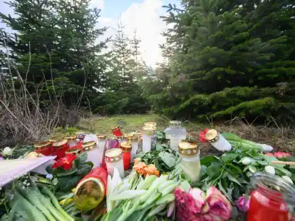 Blumen und Kerzen liegen an einer Tannenbaumschonung in Wunstorf. Nach der T&ouml;tung eines 14-j&auml;hrigen Jungen sind die Hintergr&uuml;nde der Tat weiter unklar.
