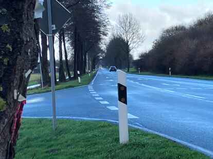 Zahlreiche B&auml;ume sollen an der K147 zwischen Neuscharrel und Gehlenberg f&uuml;r eine Fahrbahnverbreiterung verschwinden.