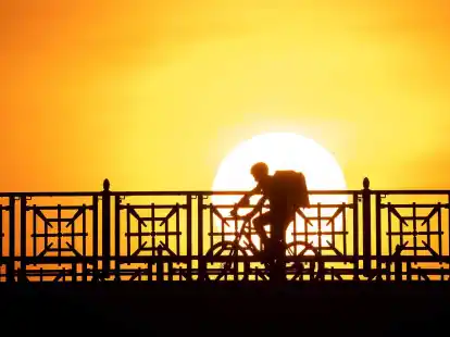 Das EU-Parlament setzt sich f&uuml;r bessere&nbsp;Arbeitsbedingungen f&uuml;r Onlineplattform-Besch&auml;ftigte ein.