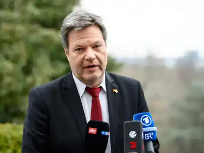 Bundeswirtschaftsminister Robert Habeck ist nach Washington gereist.