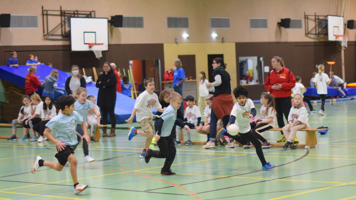 Handballregion Oldenburg und Spielfest Ammerland Erfolgreicher Tag mit