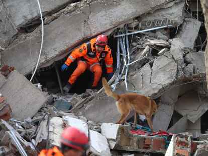 Ein Retter und sein Hund suchen im t&uuml;rkischen Kahramanmaras in den Tr&uuml;mmern eines Geb&auml;udes nach &Uuml;berlebenden. (Mustafa Kaya/XinHua/dpa)