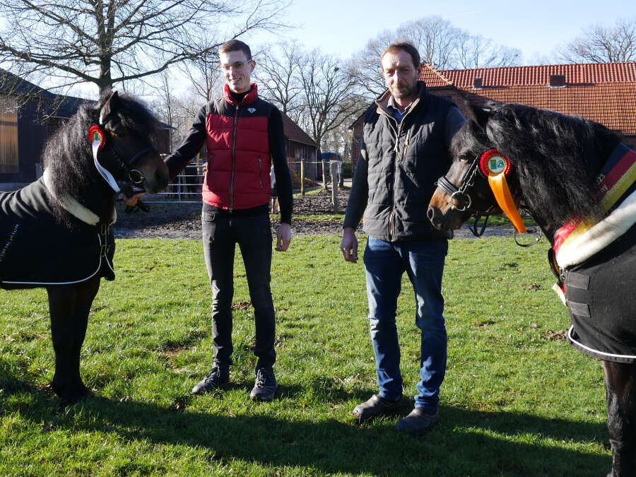DartmoorPony aus Osterscheps Bundessieger bei der Grünen Woche kommt