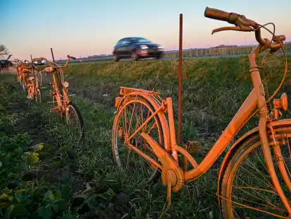 60 orangefarbene Fahrr&auml;der mahnen entlang der Landesstra&szlig;e zum Bau des Fahrradwegs.