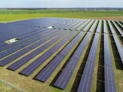 So wie hier auf einer Freifl&auml;che &ouml;stlich von Berlin k&ouml;nnte ein Solarpark aussehen.