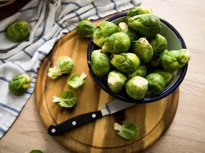 Wer Rosenkohl als Kind nicht mochte, sollte ihn mal als &laquo;smashed Rosenkohl&raquo; probieren. Dazu wird er blanchiert, mariniert, auf einem Backblech flach gedr&uuml;ckt und mit K&auml;se &uuml;berbacken.