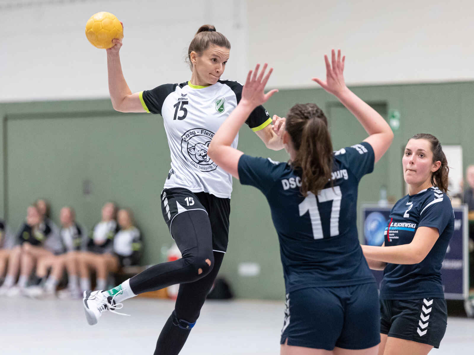 Handball-Regionsoberliga der Frauen und Männer