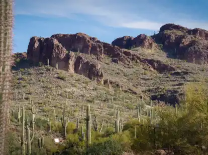 Schroffe Felsformationen und eine Menge Kakteen: Der Peralta Regional Park in Arizona wirbt mit rauer Urspr&uuml;nglichkeit.