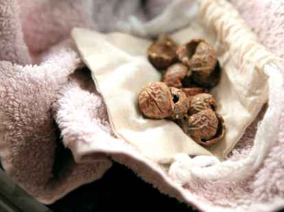 Waschn&uuml;sse enthalten Substanzen, die unter Zugabe von Wasser sch&auml;umen. Daher lassen sie sich auch alternativ zu &uuml;blichen Waschmitteln verwenden.