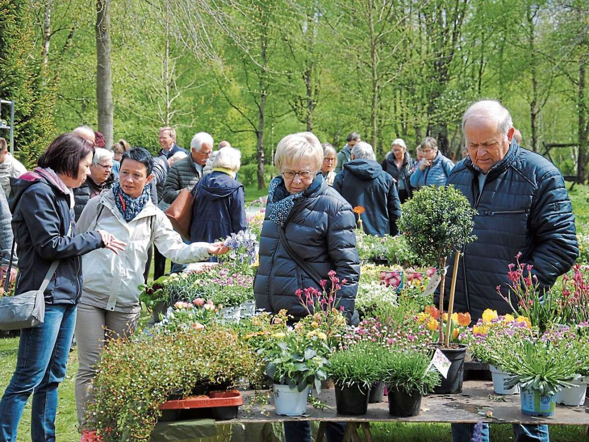 Stadtmanagerin Ute Rittmeier stellt Veranstaltungen für das Frühjahr in ...