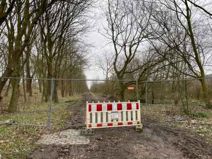 Von B&auml;umen freiger&auml;umt, aber l&auml;ngst noch nicht wieder freigegeben: Der Radweg am Frisia-Schloot.