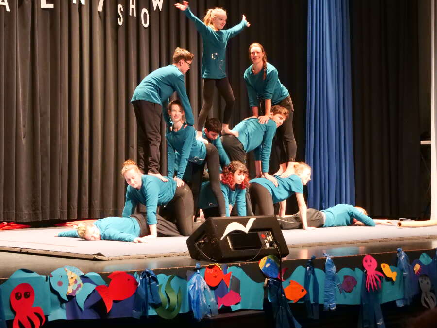 Oldenburg Schule, Sport und Kultur IGS Flötenteich feiert Talentshow Publikum begeistert