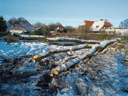In einer Nacht- und Nebelaktion waren in der Stra&szlig;e &bdquo;Flack&ldquo; in Esens zahlreiche B&auml;ume gef&auml;llt worden. Das war Anlass f&uuml;r den Bebauungsplan &bdquo;Herrenwall, Burggrund, Flack&ldquo;.