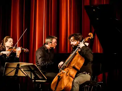 Das Trio um Annette von Hehn, Thomas Hoppe und Stefan Heinemeyer ist weltweit in den Konzerts&auml;len vertreten &ndash; am 9. M&auml;rz in der LMG-Aula in Varel.