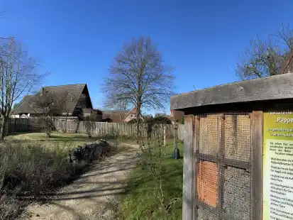 Bei der Umwandlung des alten Spielplatzes an der Pappelallee zu einem Biotop hat der Nabu aktiv mitgewirkt.