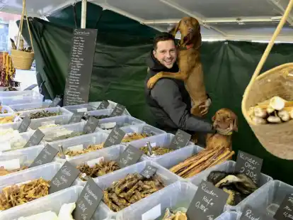 Dino und Benji &ndash; nicht ganz klein, aber immer noch Kuschelhunde: Dominik Wiemeyer mit seinen beiden Magyar Vizla auf dem Rathausmarkt.