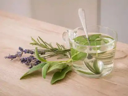 Die richtigen Kr&auml;uter k&ouml;nnen Beschwerden zwar nicht wegzaubern. Aber sie unterst&uuml;tzen die Genesung.