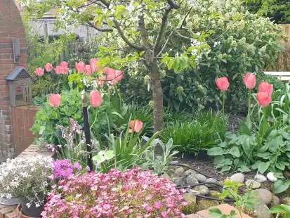Blick in einen Frauengarten im Frühjahr: Über die gemeinsame Freude an Gärten, deren Gestaltung und an der Natur können sich bald Gartenfrauen in Augustfehn austauschen.