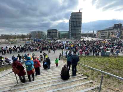 Die Fridays for Future-Demonstration in Oldenburg.