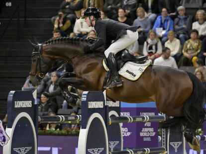 Marcus Ehning auf seinem Pferd reitet Stargold.