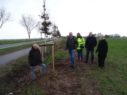 Neue B&auml;ume entlang der Garreler Stra&szlig;e in Bissel: Zum Ortstermin trafen sich (von links) Eduard H&uuml;sers (Gr&uuml;ne), Christoph Alterbaum (Stra&szlig;enmeisterei), Heidi Schilberg, Dirk Fa&szlig; und Elisabeth Feldmann (alle Gr&uuml;ne).