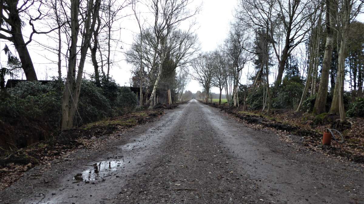 Fahrradstraße von Bad Zwischenahn nach Oldenburg So wird die Verbindung beleuchtet