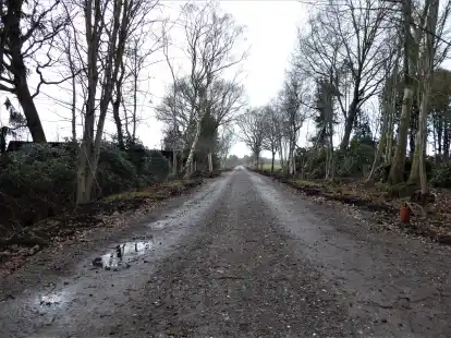 Bau der Fahrradstra&szlig;e: Hier vom Birkenweg aus wurde eine neue Verbindung zur Hermann-L&ouml;ns-Stra&szlig;e durch das Kayhausermoor hergestellt. &Uuml;ber den anschlie&szlig;enden Erikaweg erh&auml;lt die Fahrradstra&szlig;e die Anbindung zum Heiderosenweg.