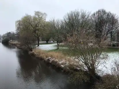 F&uuml;r Baumbestattungen in Planung: Areal auf dem Friedhof Tholenswehr direkt am Borssumer Kanal.