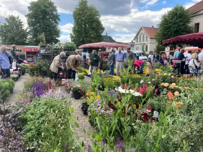 Bald bl&uuml;ht es hier wieder richtig auf: Die Oldenburger Wochenm&auml;rkte &ndash; hier ein Bild vom Pferdemarkt &ndash; geh&ouml;ren zur besonderen Lebensqualit&auml;t dieser Stadt.