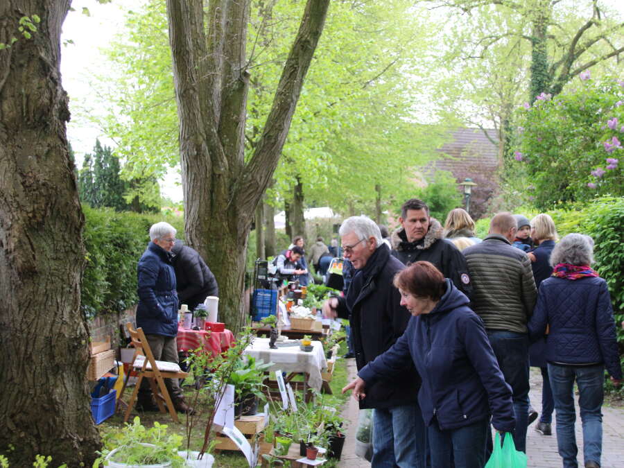 Pflanzenmarkt in Sillenstede