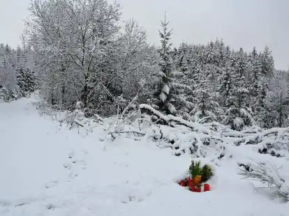 Blumen am Fundort der get&ouml;teten Zw&ouml;lfj&auml;hrigen.