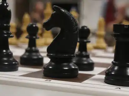 Sind in Bremen gefordert: die Schachspieler des Schwarzen Springer.
