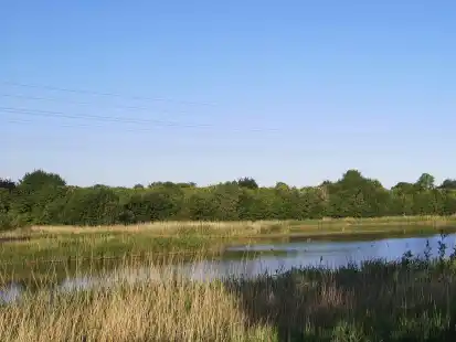 Der Weiher im Voslapper Groden im Bereich der ehemaligen Deponie &ndash; drumherum soll ein Solarpark entstehen.