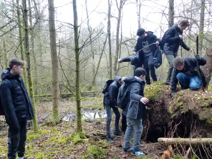 Viel Neues zu entdecken: der Entdeckungs- und Bewegungsdrang bei den Sch&uuml;lern ist im Wald ungebrochen.