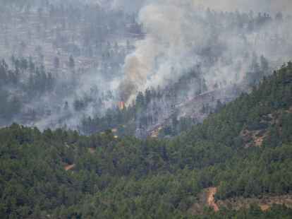 In San Agust&iacute;n brennt der Wald.